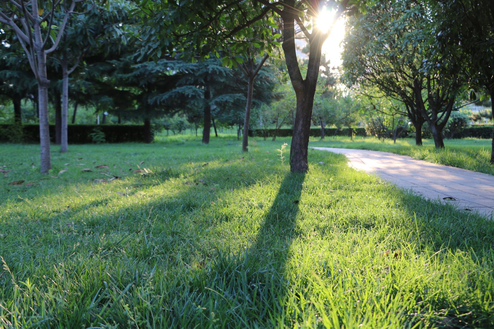 鄭州短視頻拍攝時(shí)需要掌握幾種拍攝小技巧
